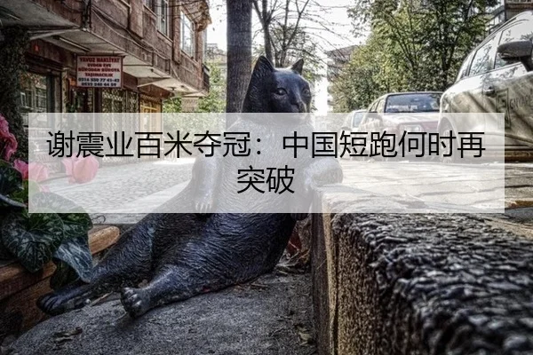 谢震业百米夺冠：中国短跑何时再突破